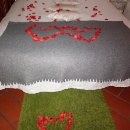 Casa Elefante *